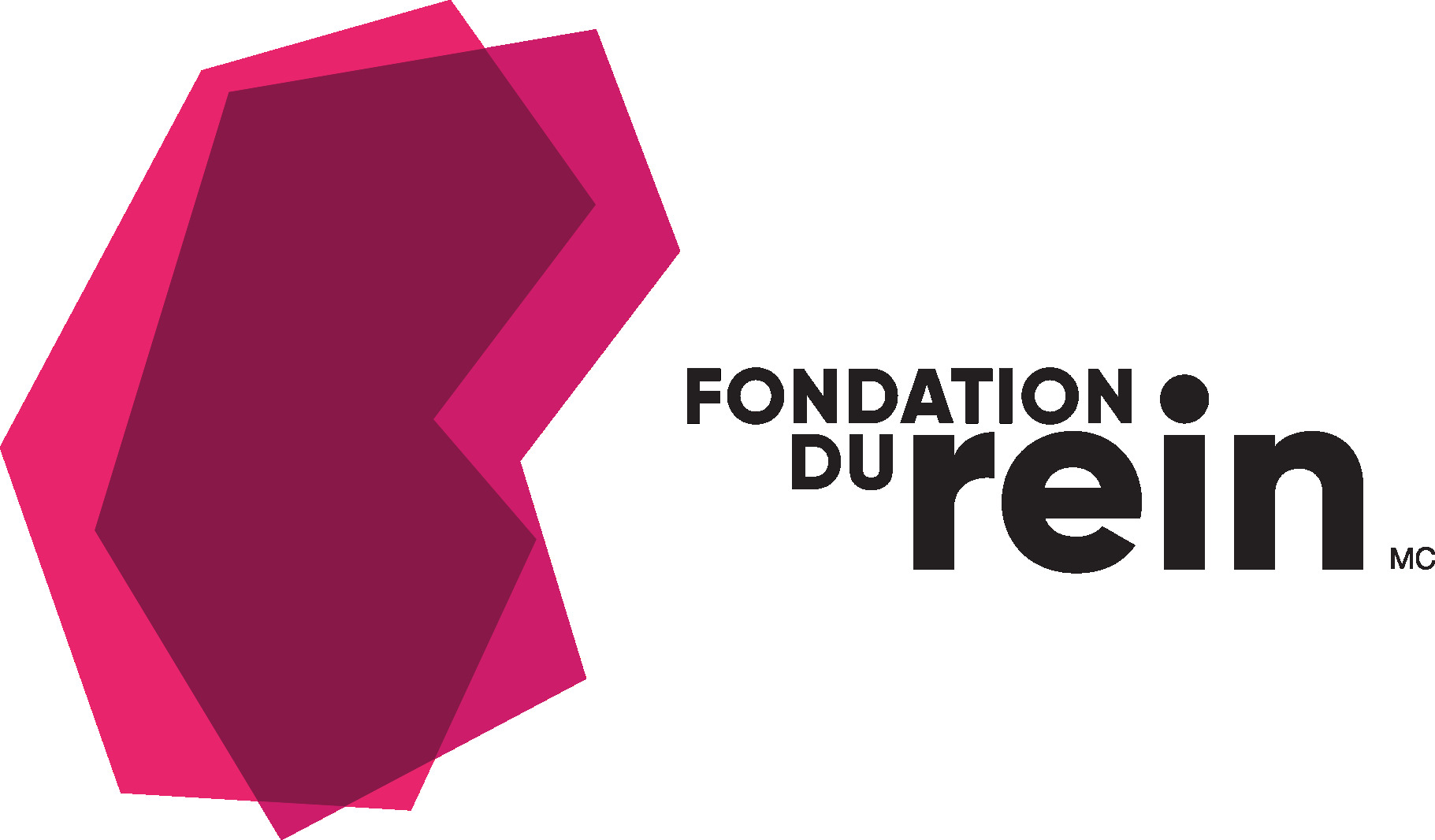 Foundation de rein